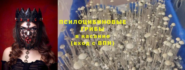 гидропоника Аркадак