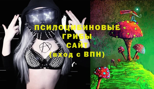 прущая мука Арсеньев