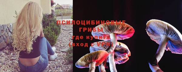 прущая мука Арсеньев